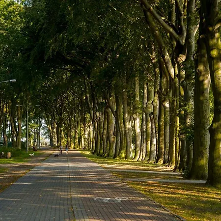 Ahoy Przy Plazy Z Widokiem Na Morze * Puck