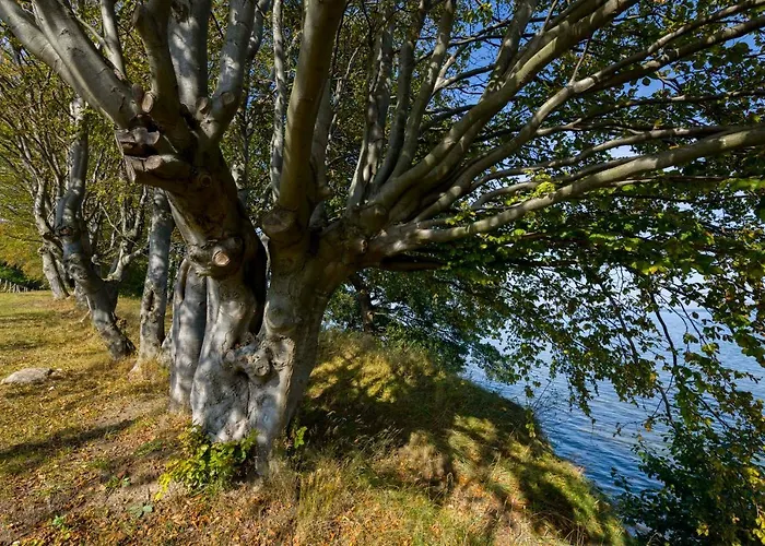 Ahoy Przy Plazy Z Widokiem Na Morze Daire Puck