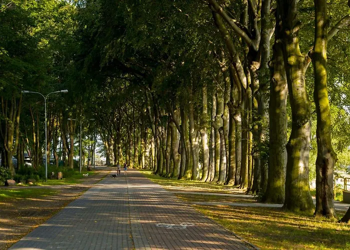 Ahoy Przy Plazy Z Widokiem Na Morze * Puck