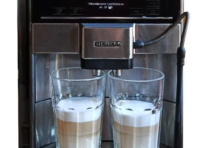 Ahoy Przy Plazy Z Widokiem Na Morze Puck